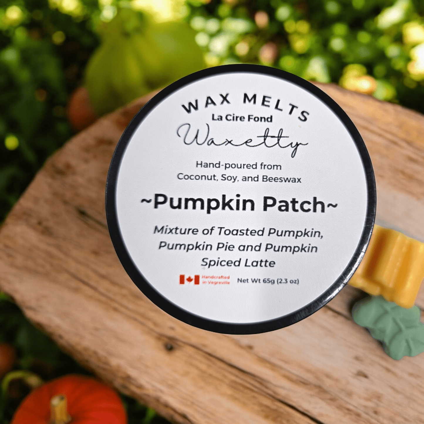 Pumpkin Patch - WaxettyPumpkin PatchWax Melt