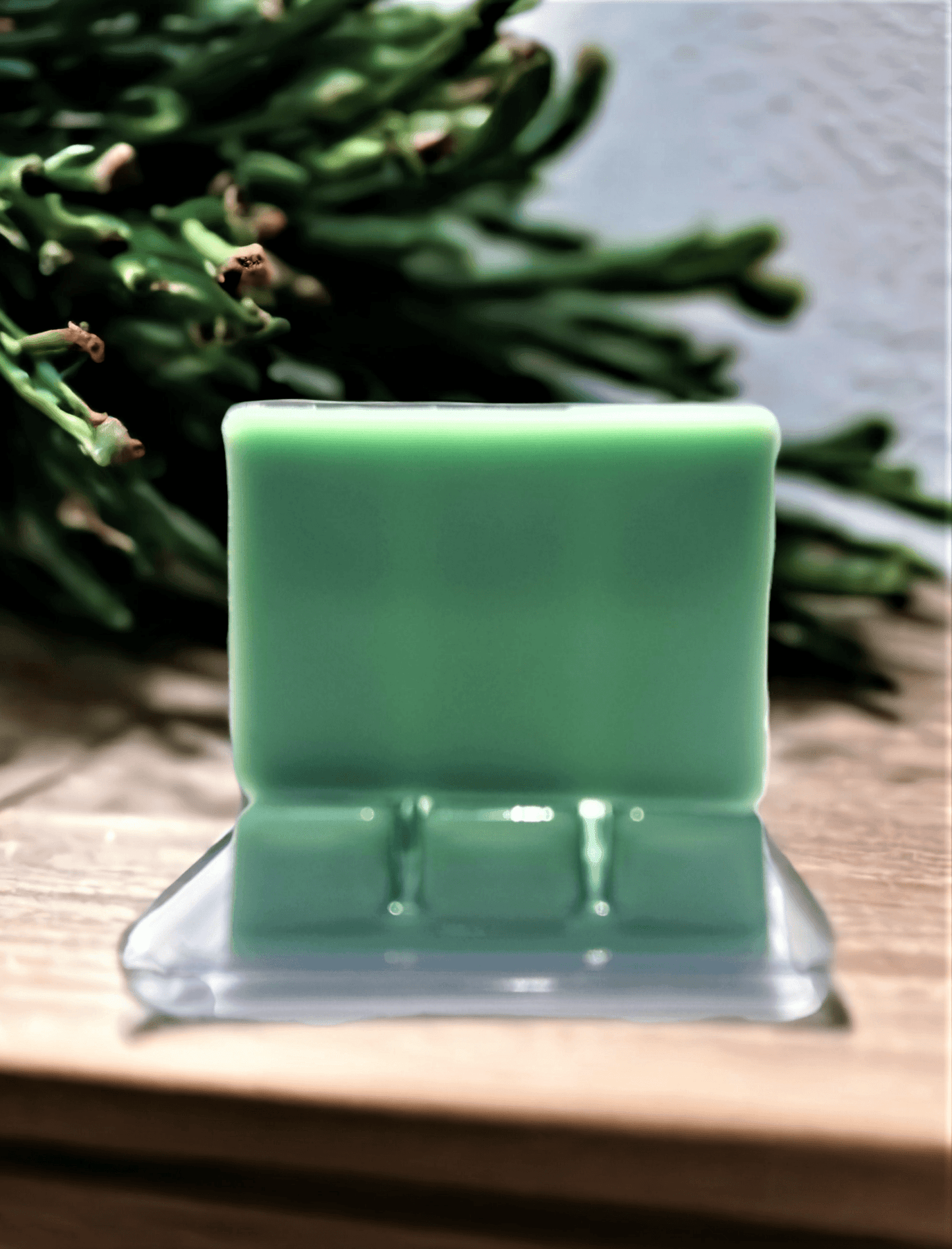 Eucalyptus Forest - WaxettyEucalyptus ForestWax Melt