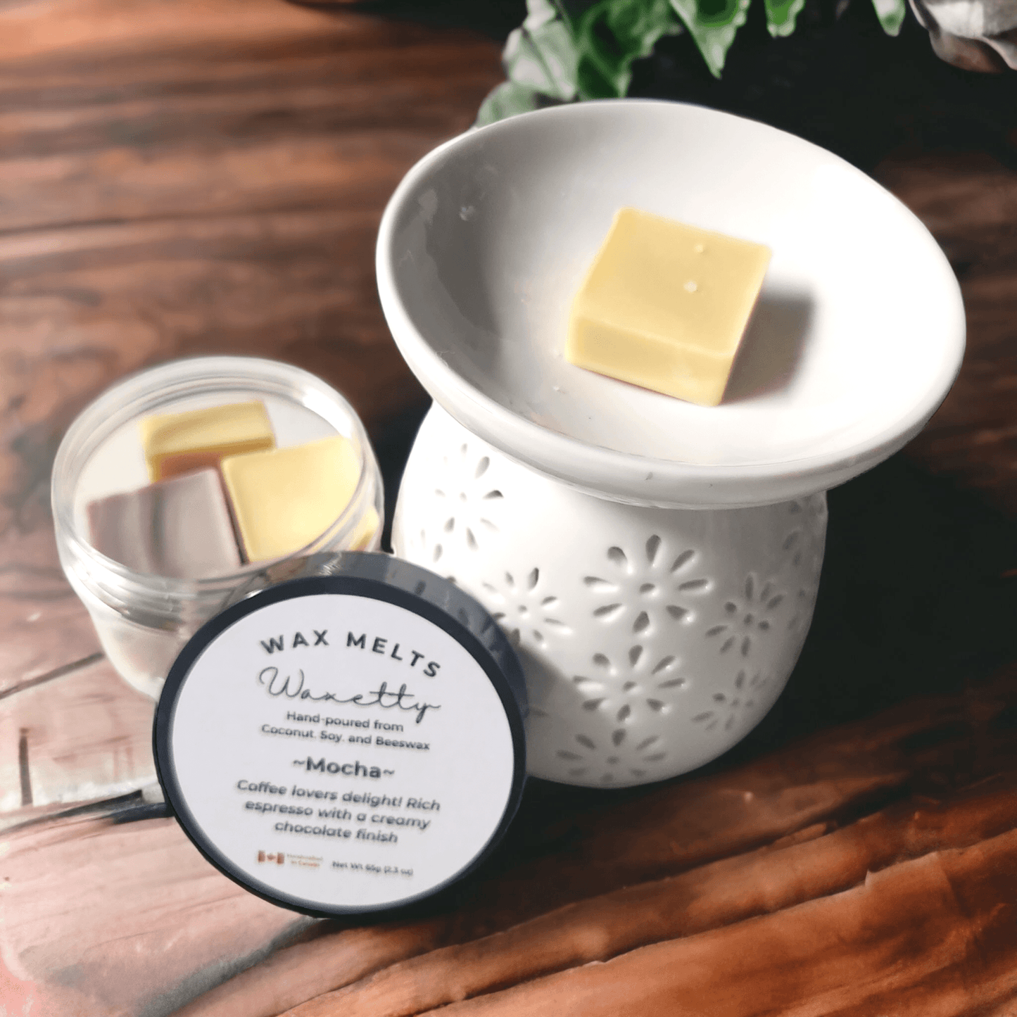 Mocha Wax Melts Plus - WaxettyMocha Wax Melts PlusWax Melt