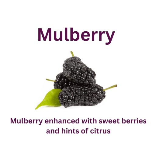 Mulberry - WaxettyMulberryWax Melt