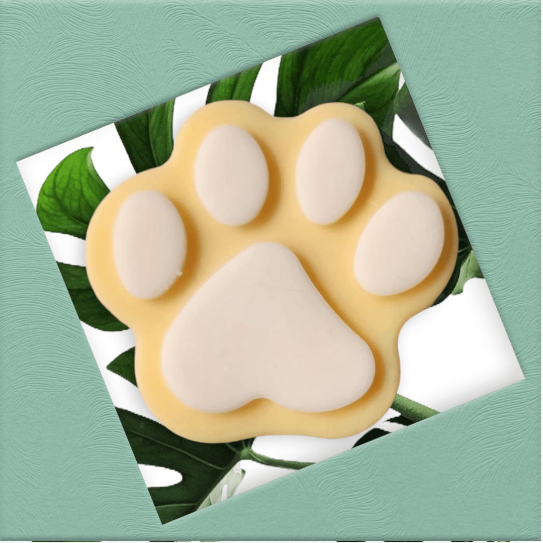 Paw Print Gift Box - WaxettyPaw Print Gift BoxWax Melt