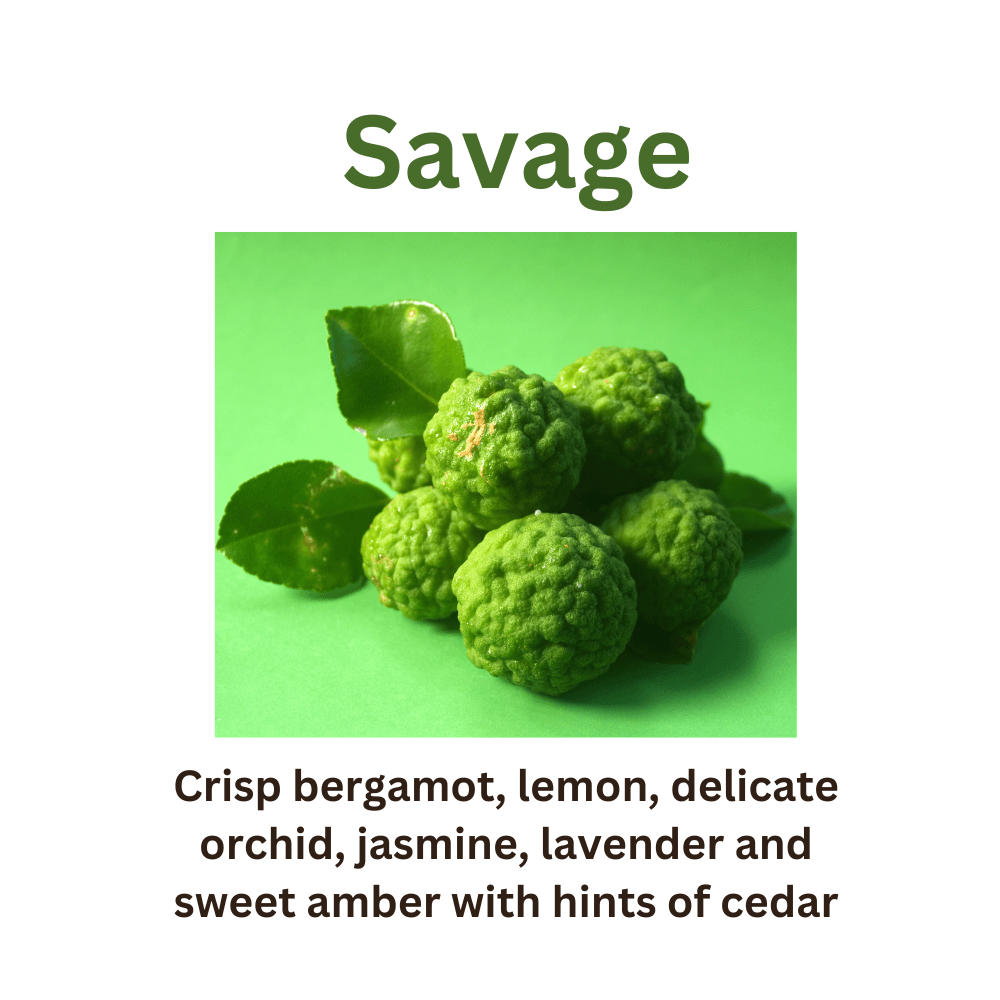 Savage - WaxettySavageWax Melt