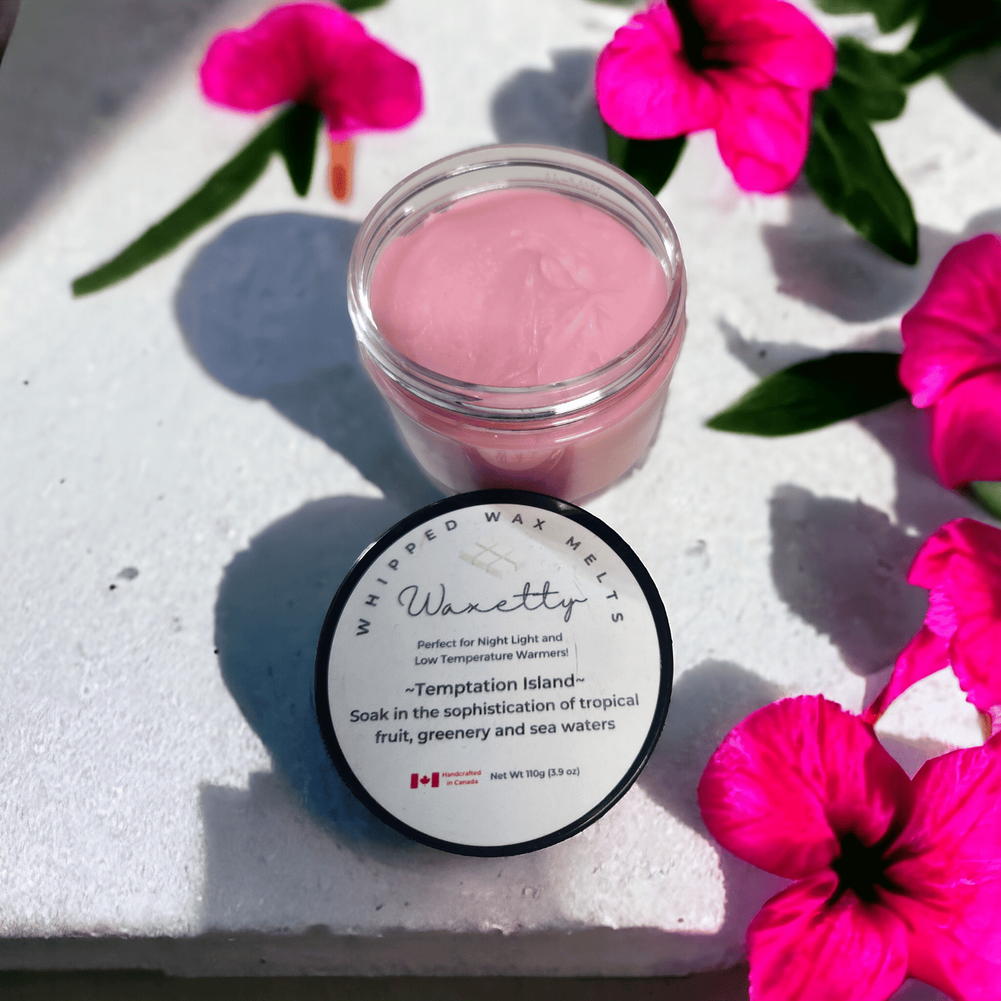 Temptation Island Whipped Wax Melt - WaxettyTemptation Island Whipped Wax MeltWax Melt