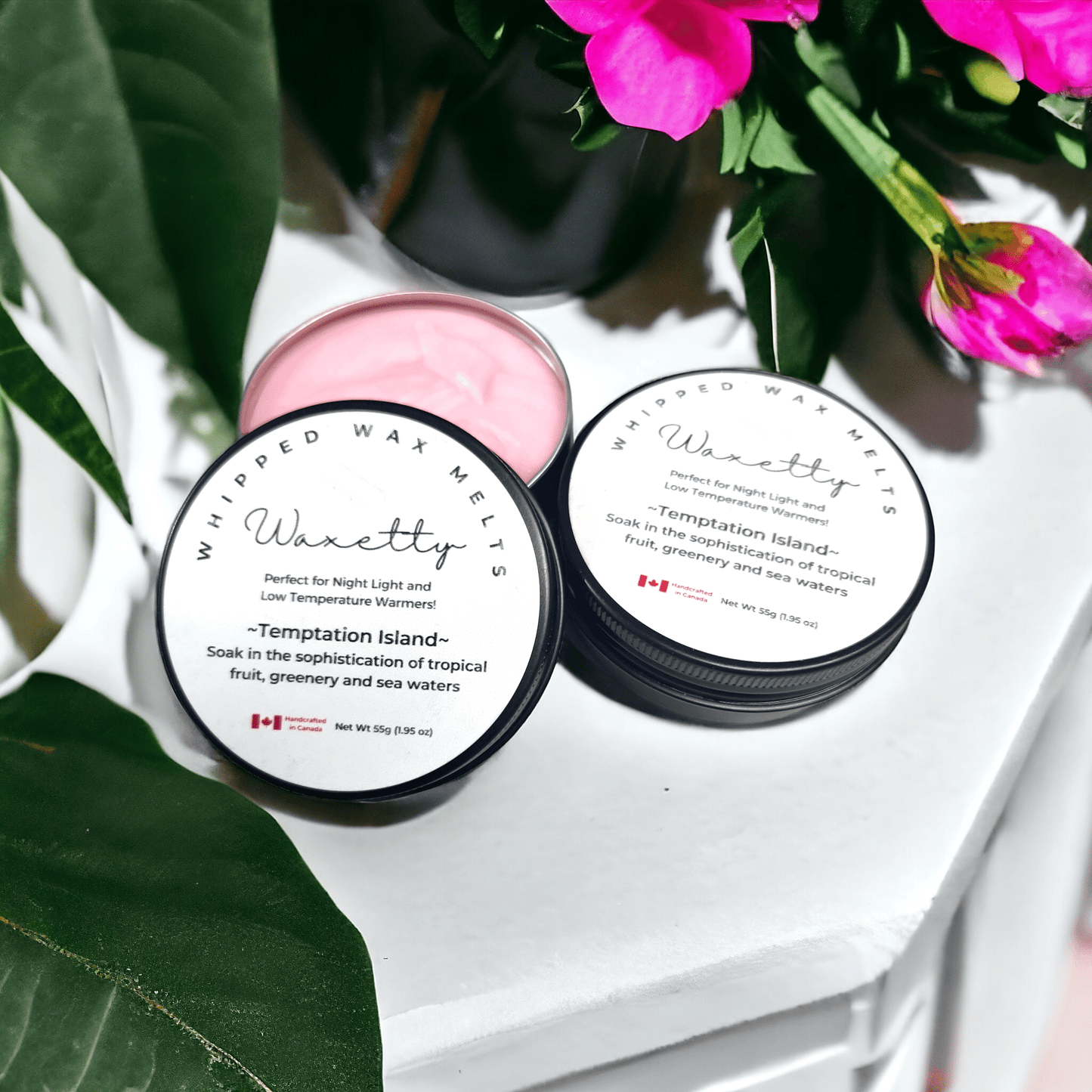 Temptation Island Whipped Wax Melt - WaxettyTemptation Island Whipped Wax MeltWax Melt