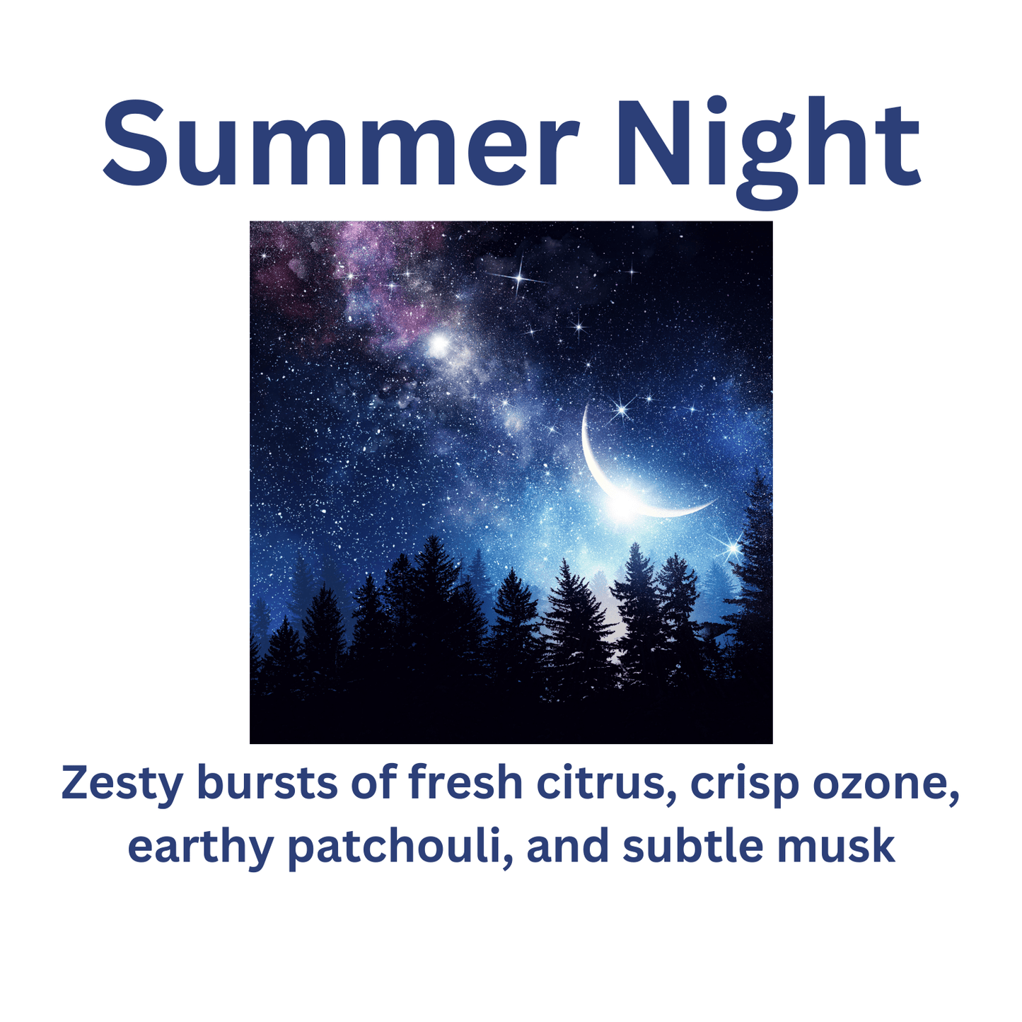 Summer Night - WaxettySummer NightWax Melt