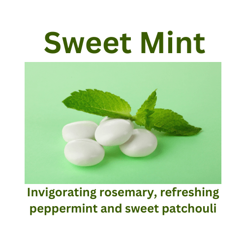 Sweet Mint - WaxettySweet MintWax Melt