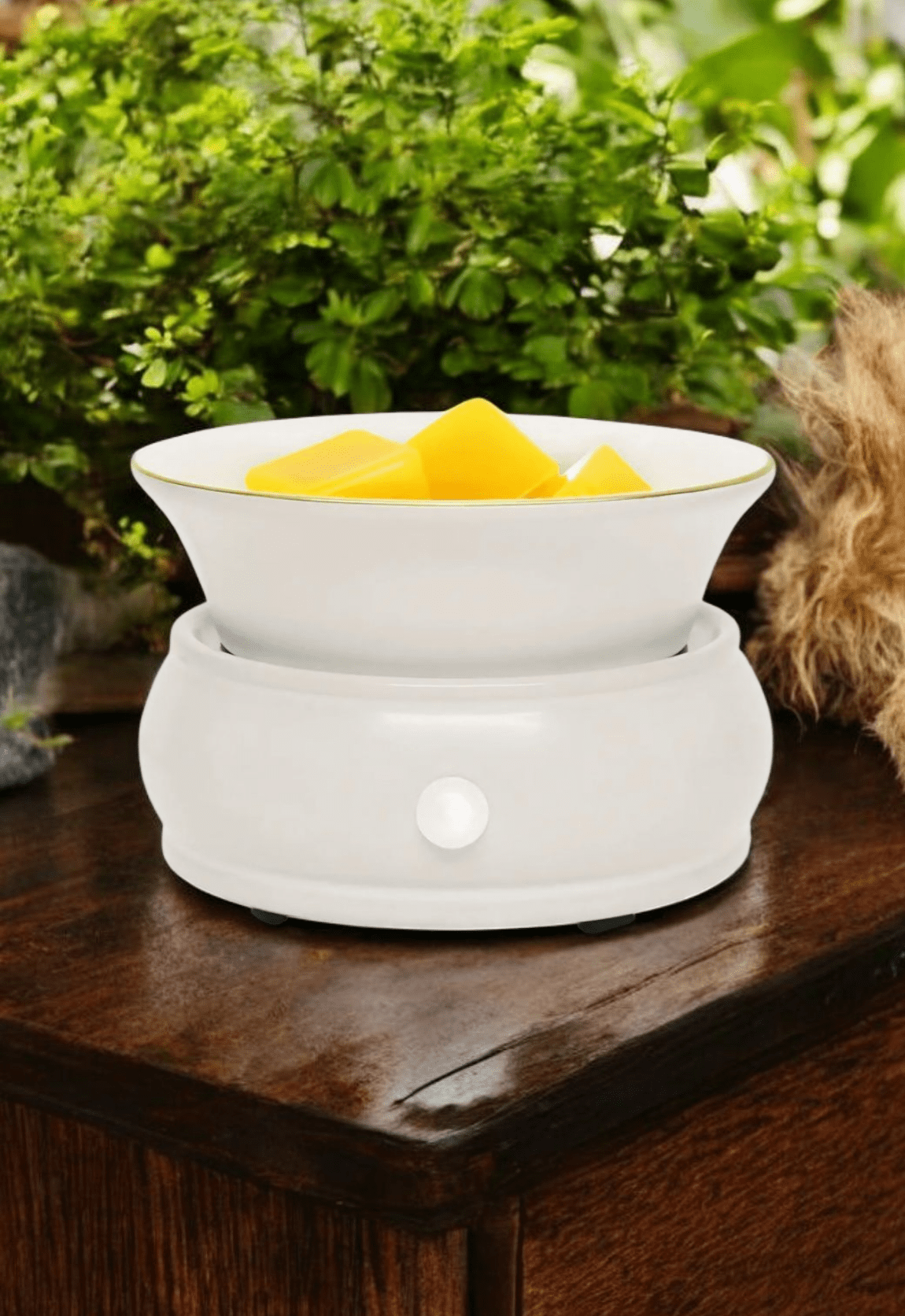 White Ceramic Bowl Warmer - WaxettyWhite Ceramic Bowl WarmerWax Warmer