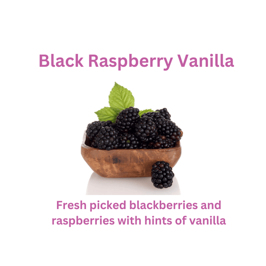 Black Raspberry Vanilla - WaxettyBlack Raspberry VanillaWax Melt