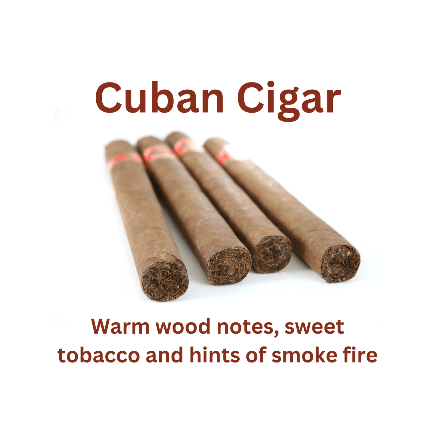 Cuban Cigar - WaxettyCuban CigarWax Melt