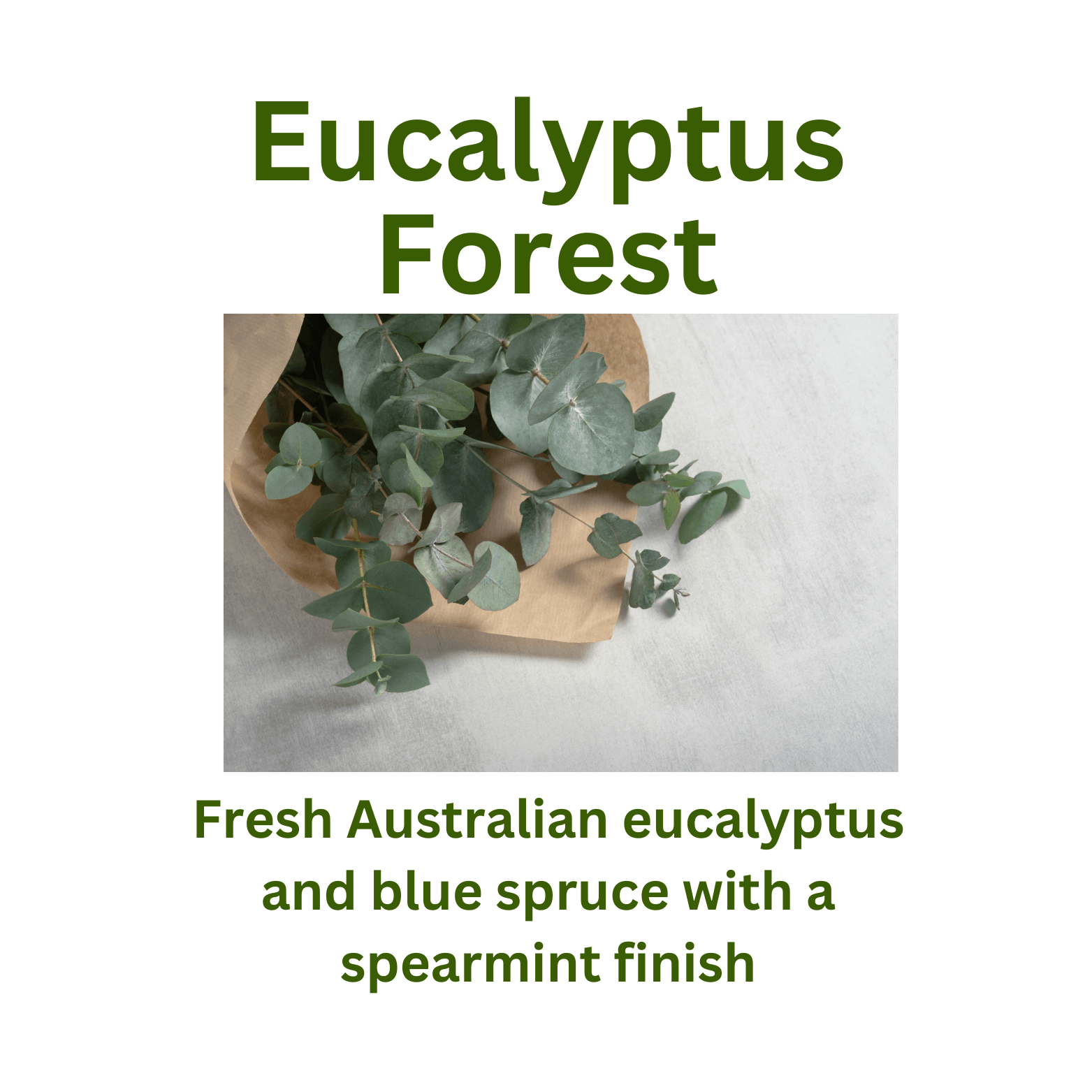 Eucalyptus Forest - WaxettyEucalyptus ForestWax Melt