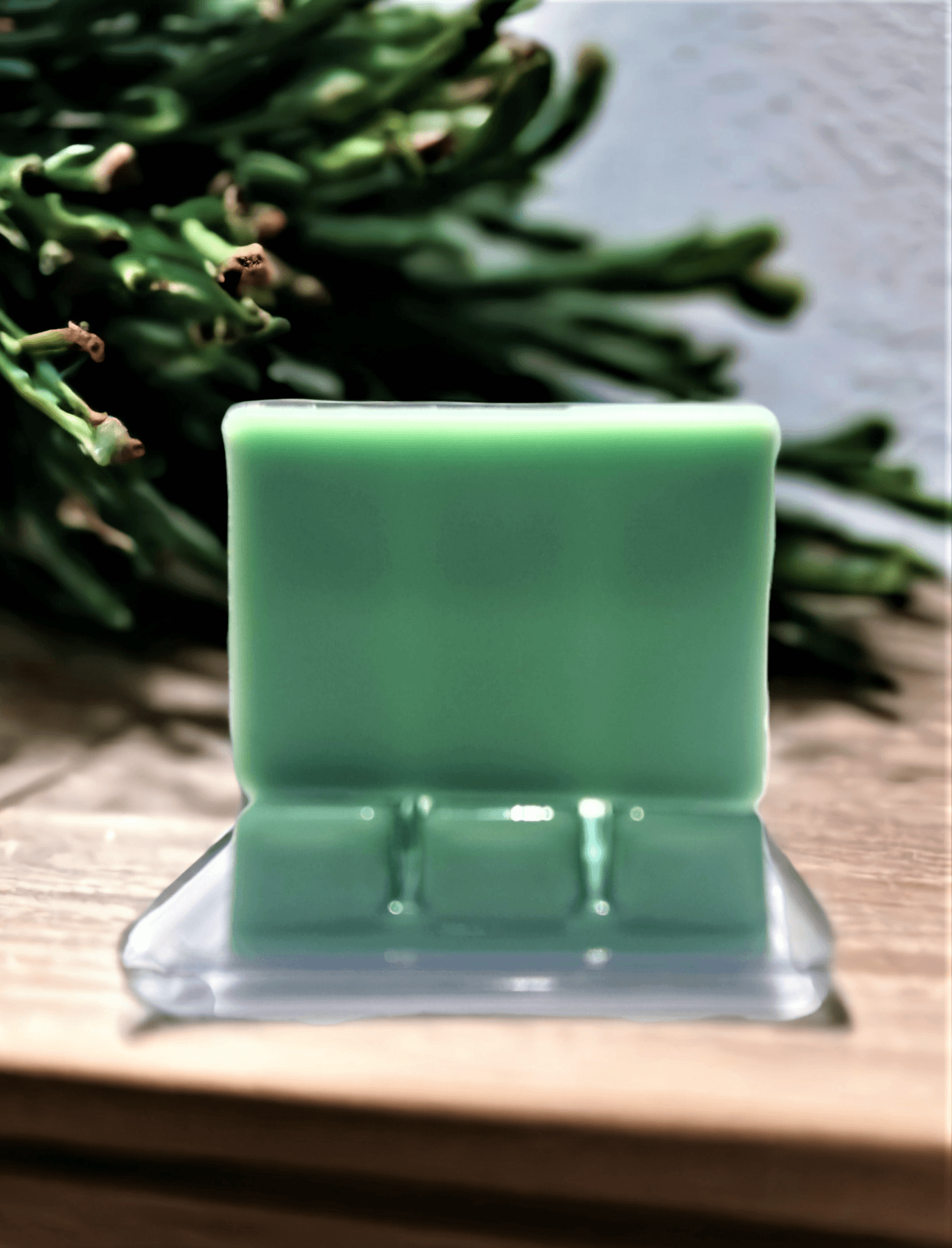 Eucalyptus Forest - WaxettyEucalyptus ForestWax Melt