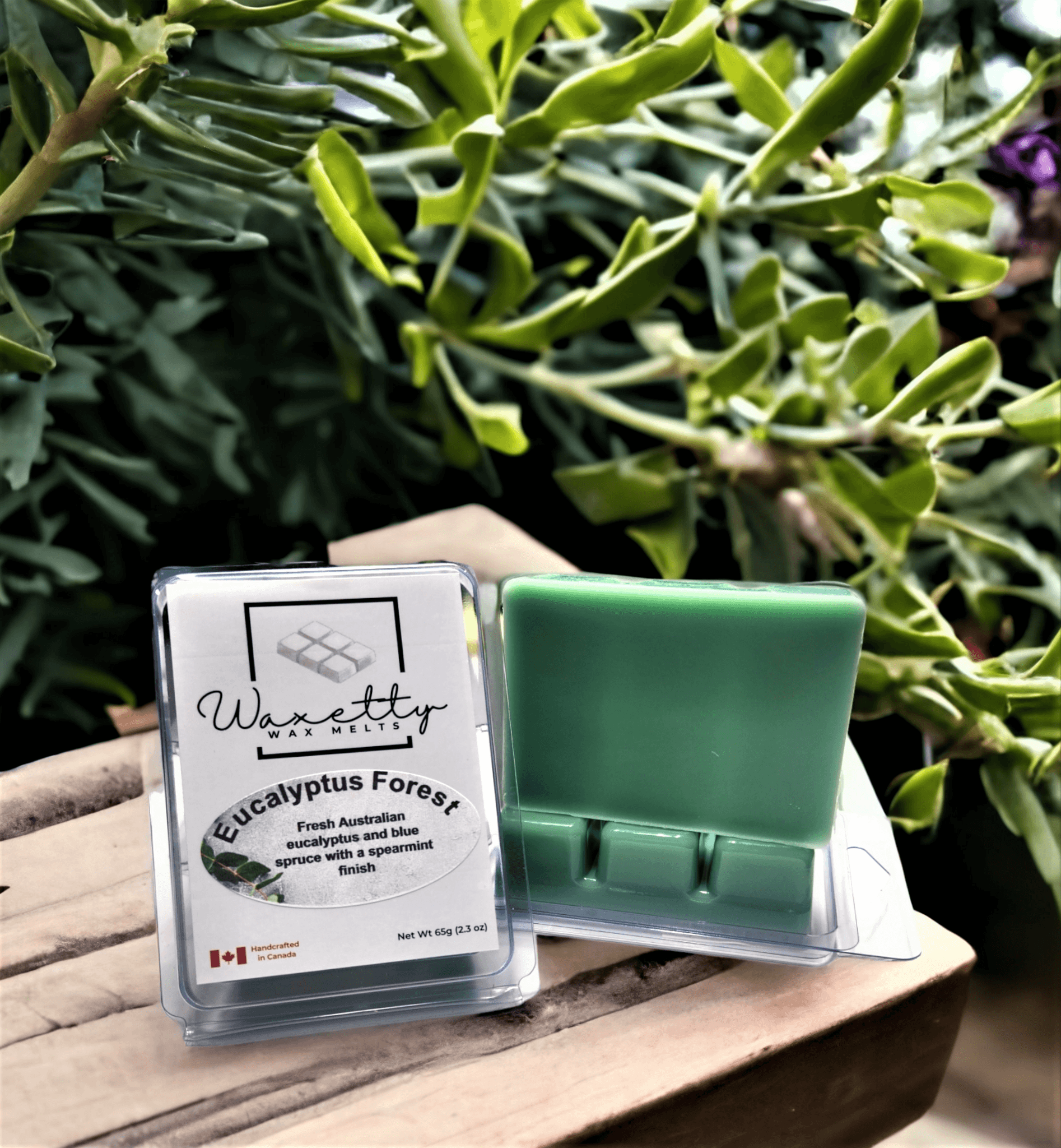 Eucalyptus Forest - WaxettyEucalyptus ForestWax Melt