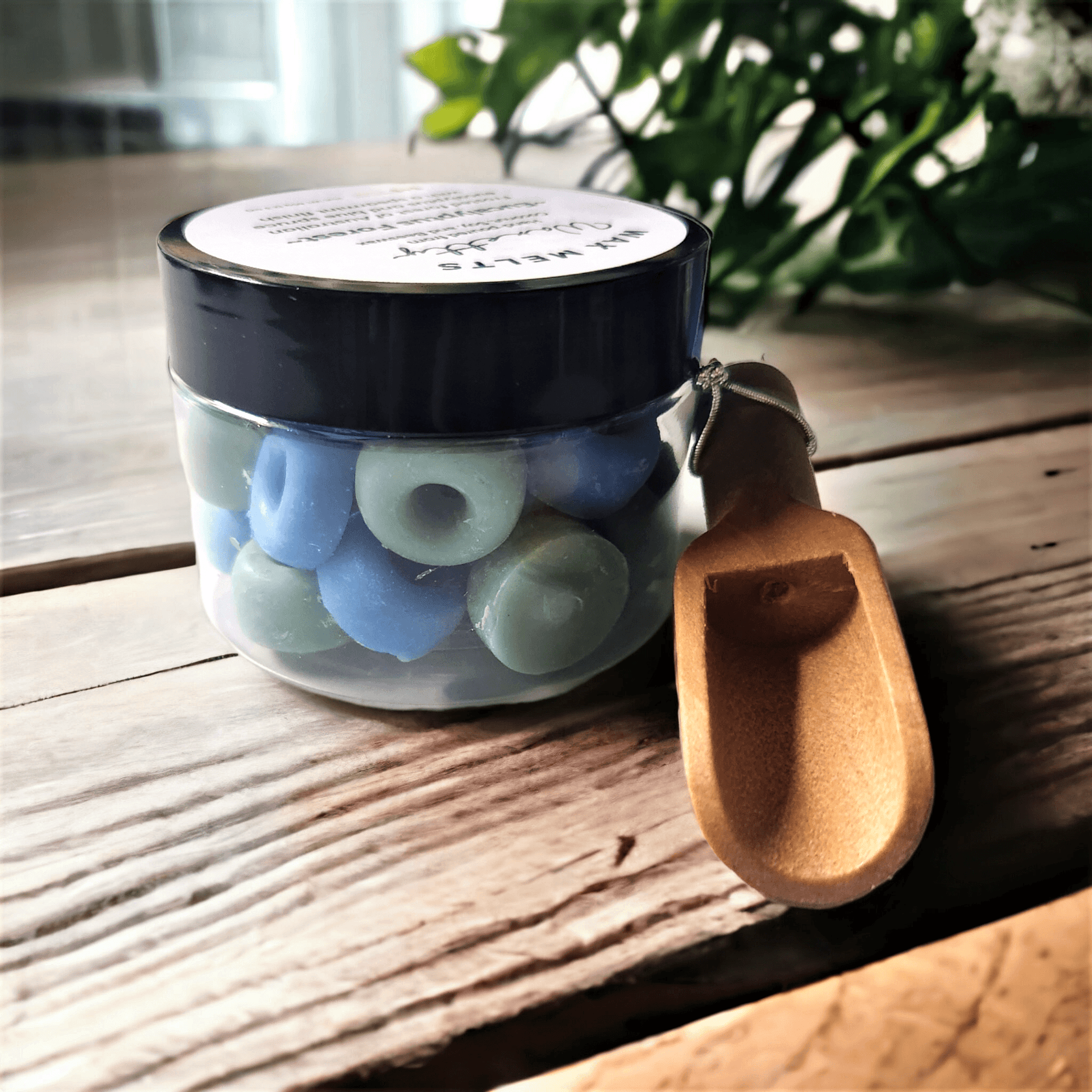 Eucalyptus Forest Wax Melts Plus - WaxettyEucalyptus Forest Wax Melts PlusWax Melt