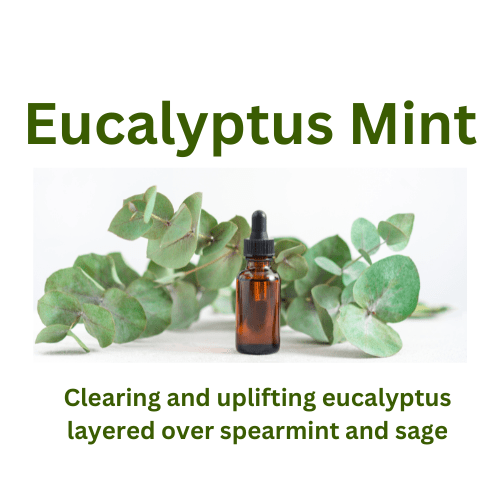 Eucalyptus Mint - WaxettyEucalyptus MintWax Melt