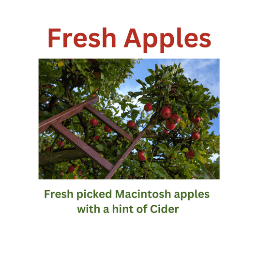 Fresh Apples - WaxettyFresh ApplesWax Melt