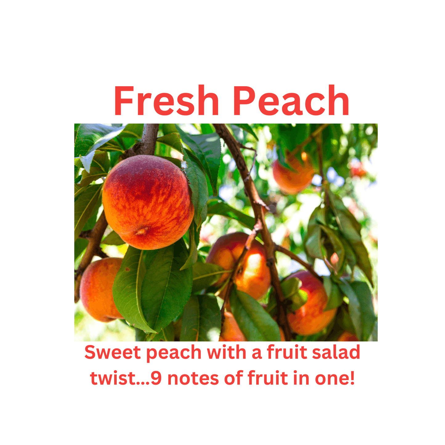 Fresh Peach - WaxettyFresh PeachWax Melt