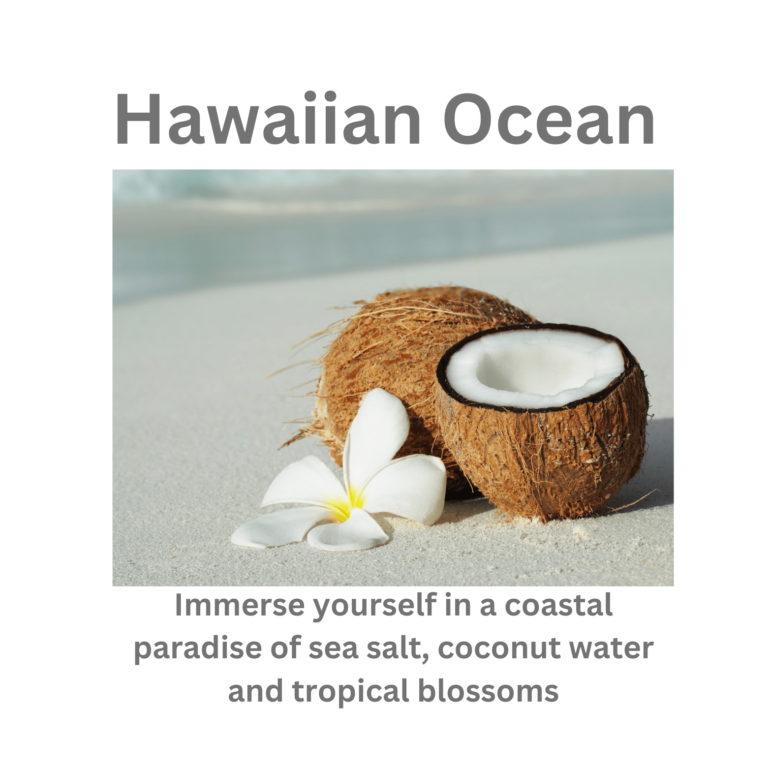 Hawaiian Ocean - WaxettyHawaiian OceanWax Melt