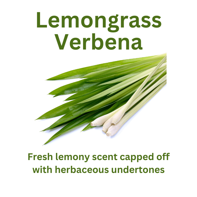 Lemongrass Verbena - WaxettyLemongrass VerbenaWax Melt