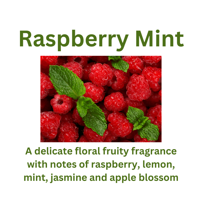 Mints Normal Lemkon Raspberry Raspberry Mint – Waxetty