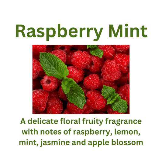 Raspberry Mint - WaxettyRaspberry MintWax Melt