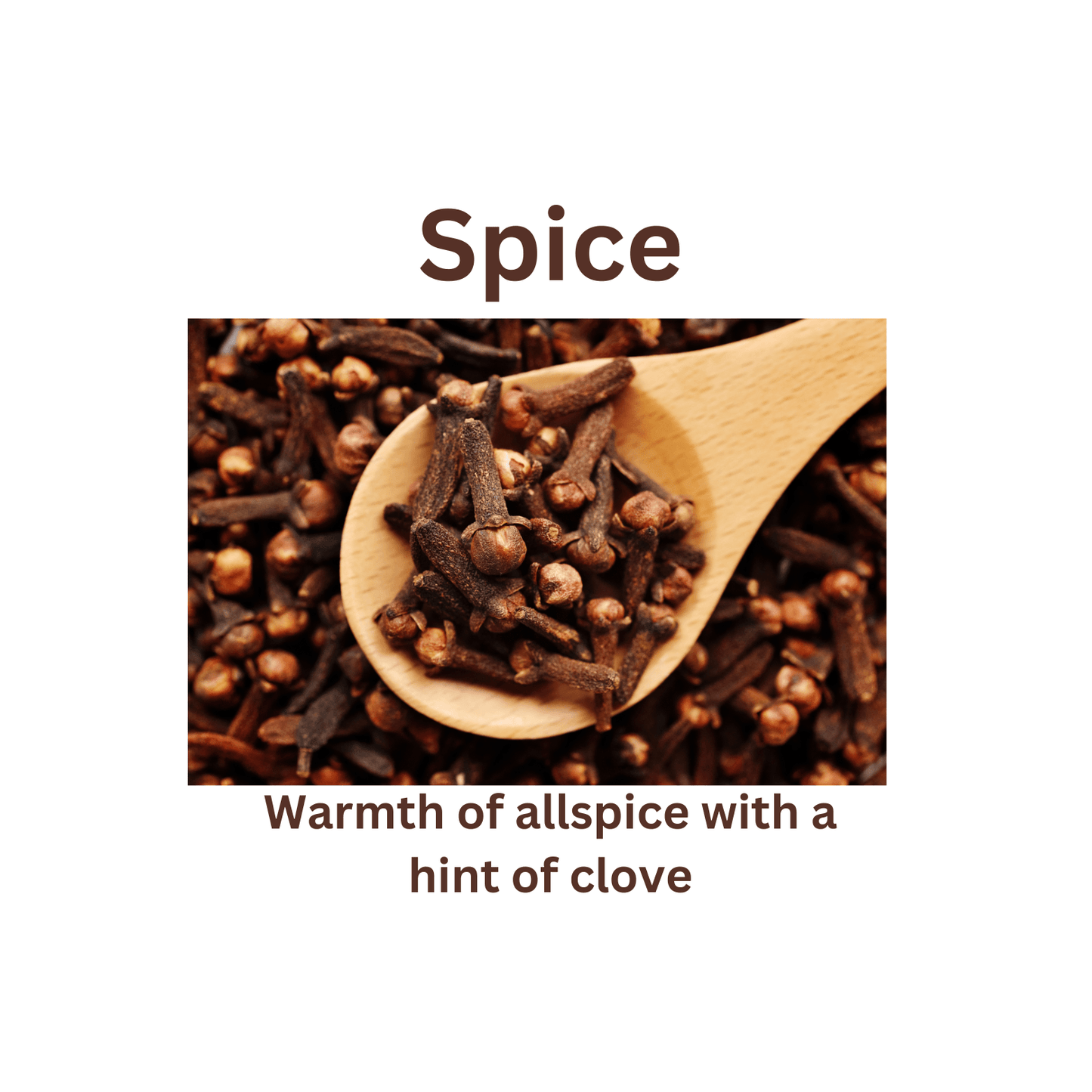 Spice - WaxettySpiceWax Melt