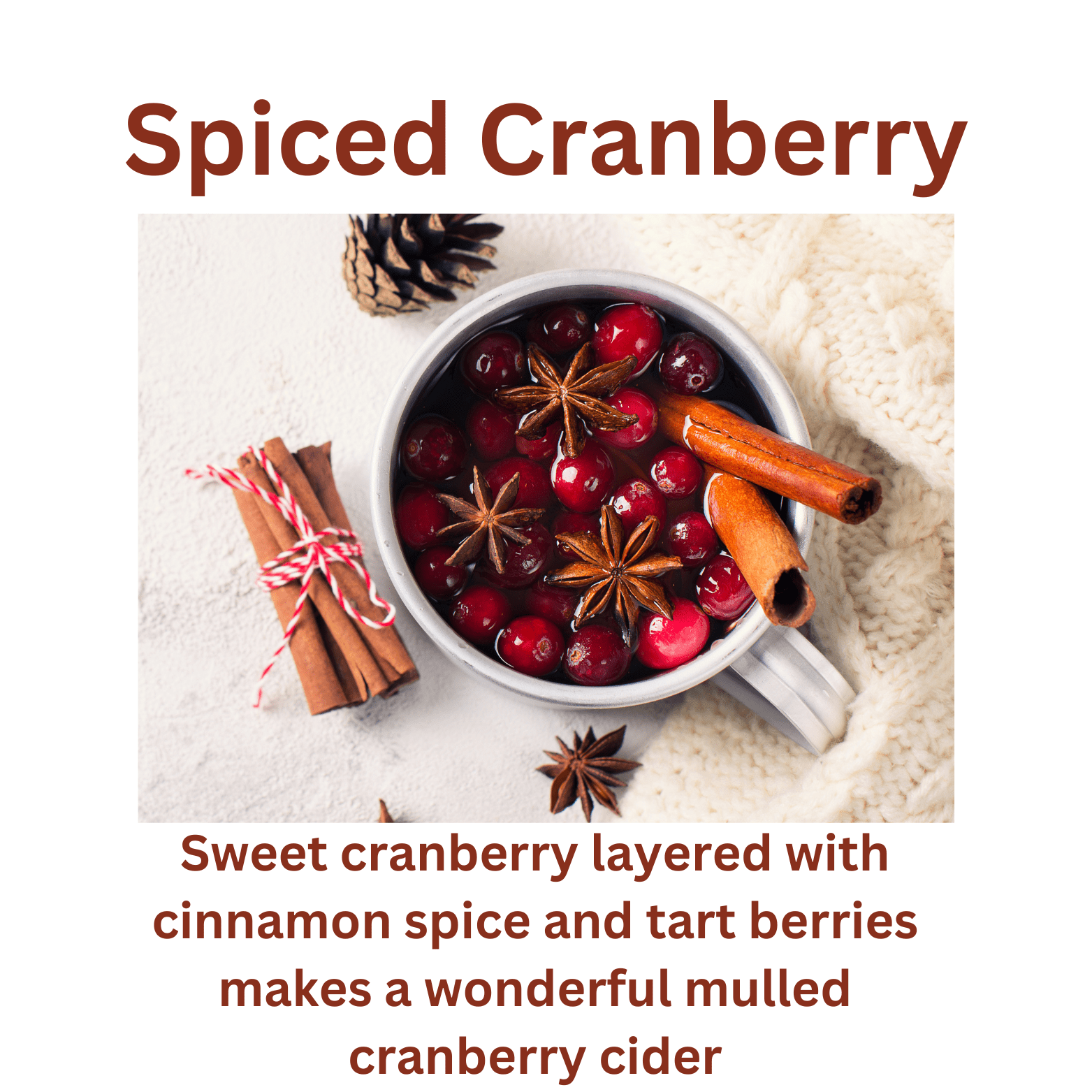 Spiced Cranberry - WaxettySpiced CranberryWax Melt