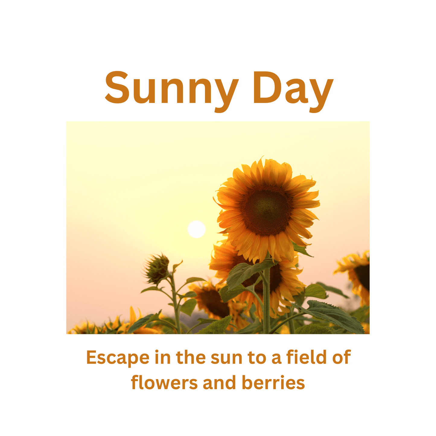 Sunny Day - WaxettySunny DayWax Melt