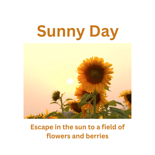 Sunny Day - WaxettySunny DayWax Melt