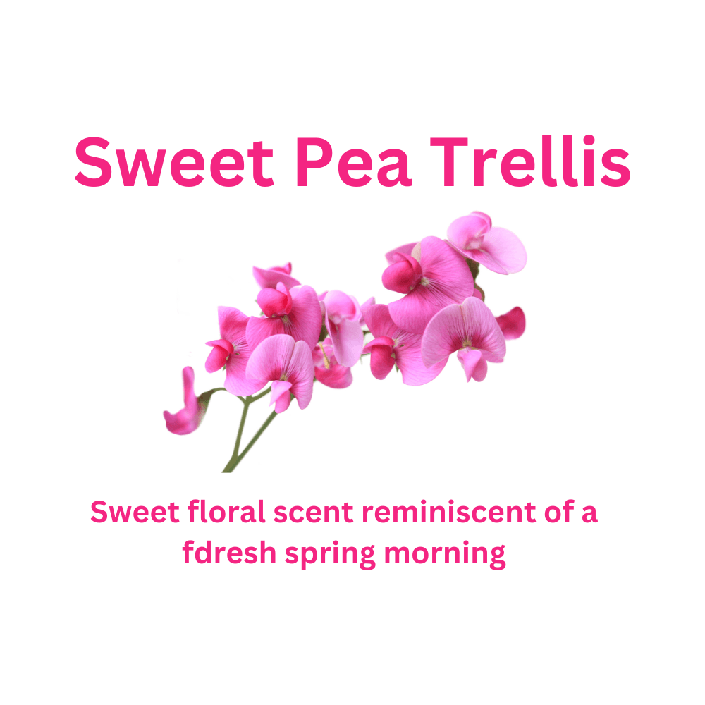 Sweet Pea Trellis - WaxettySweet Pea TrellisWax Melt