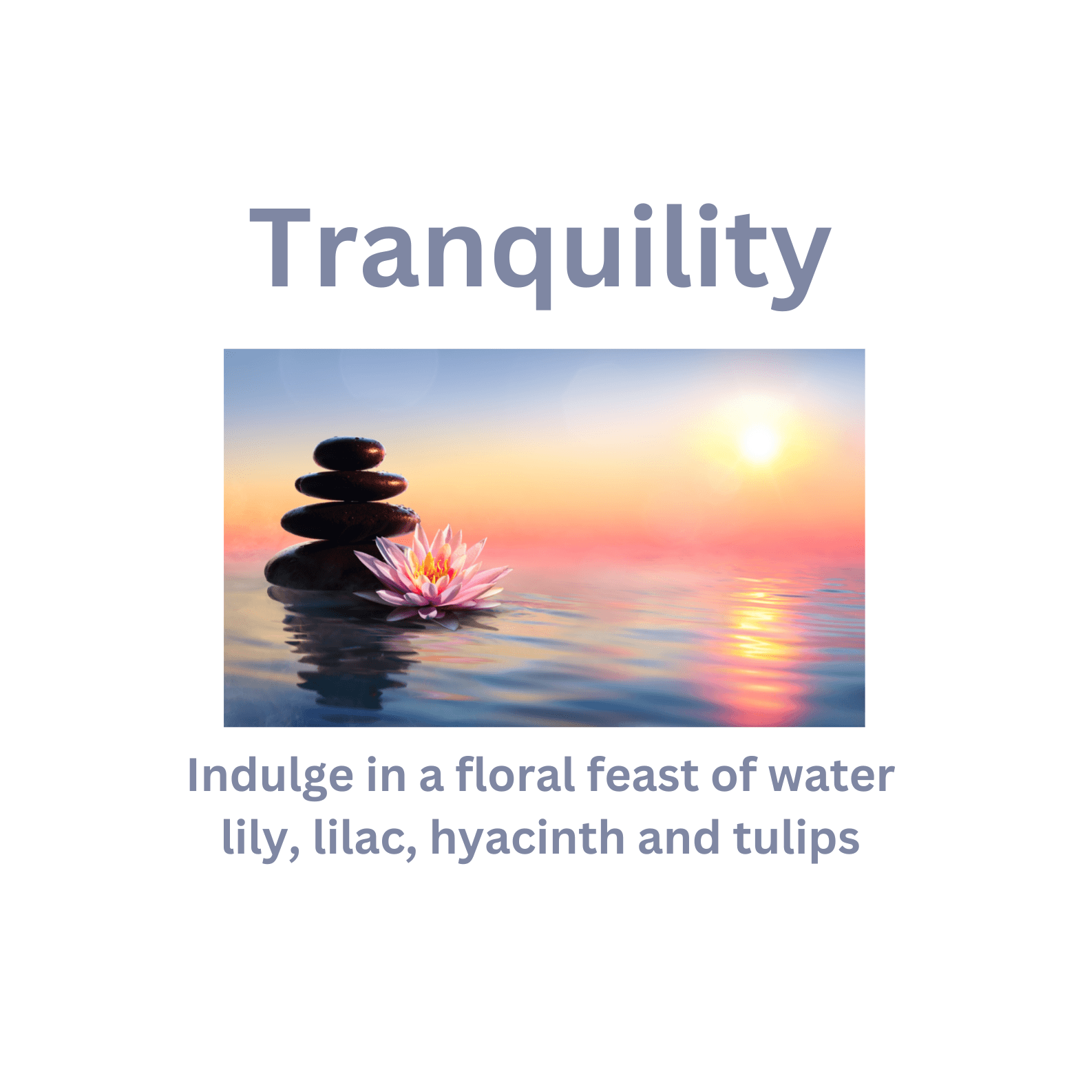 Tranquility - WaxettyTranquilityWax Melt