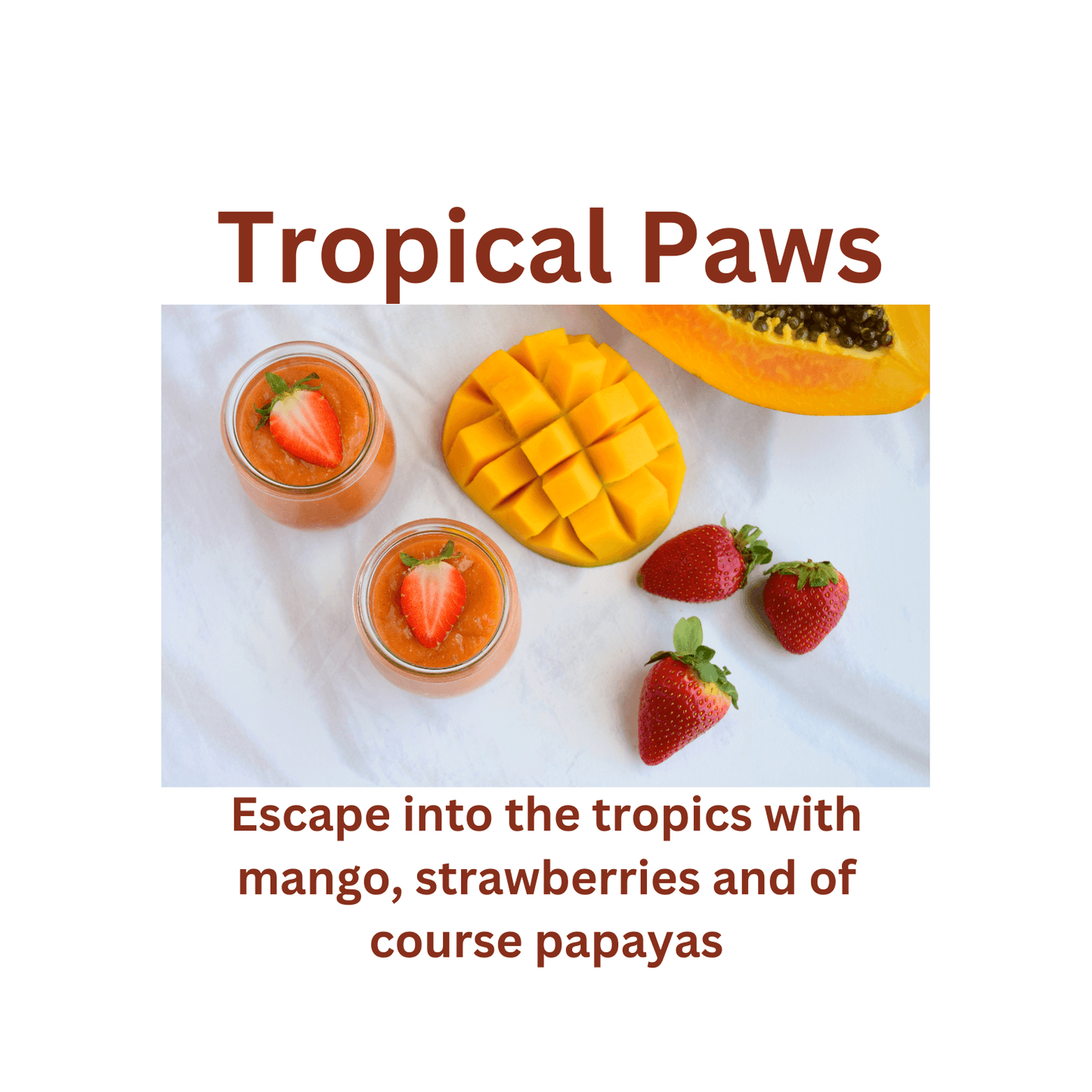 Tropical Paws - WaxettyTropical PawsWax Melt