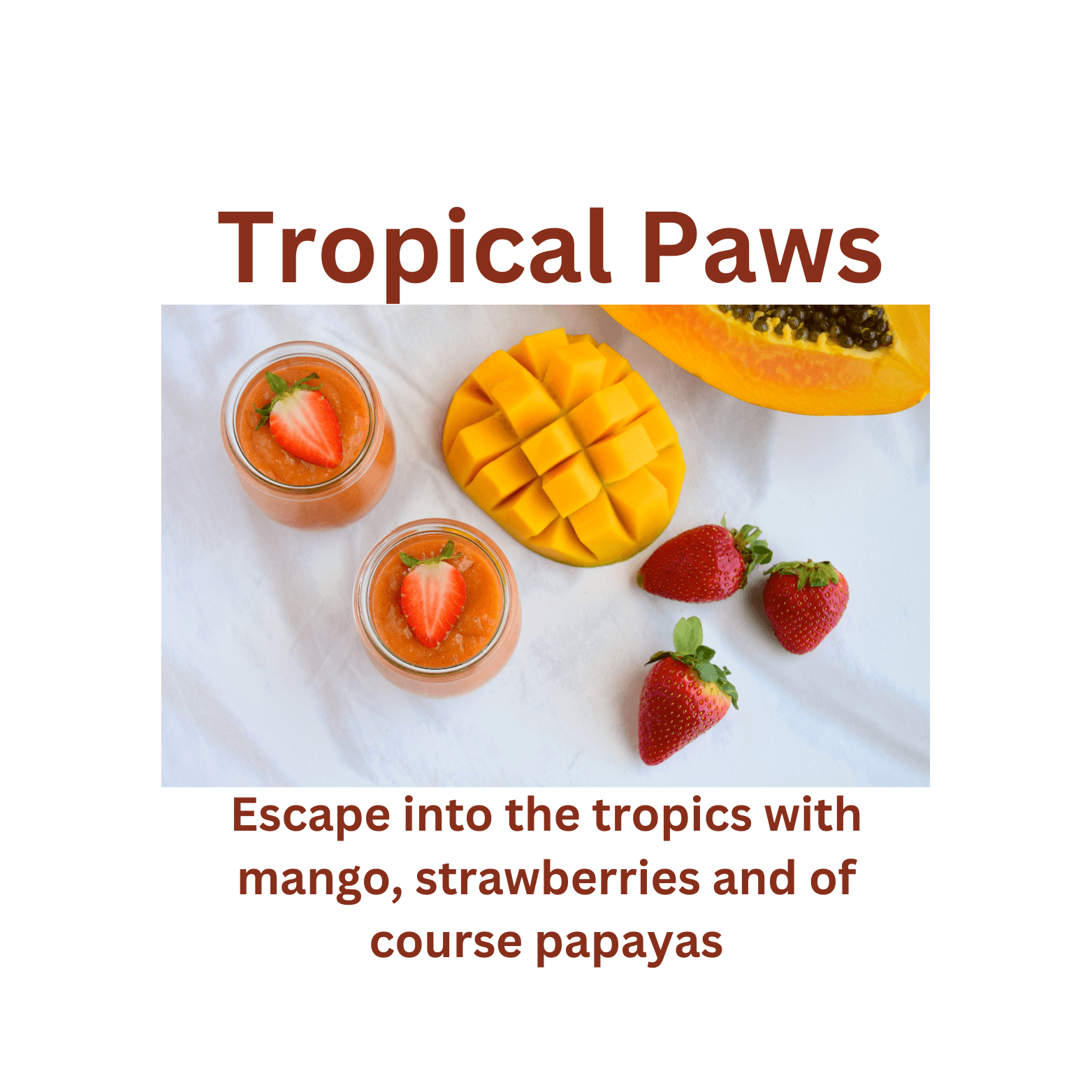 Tropical Paws - WaxettyTropical PawsWax Melt
