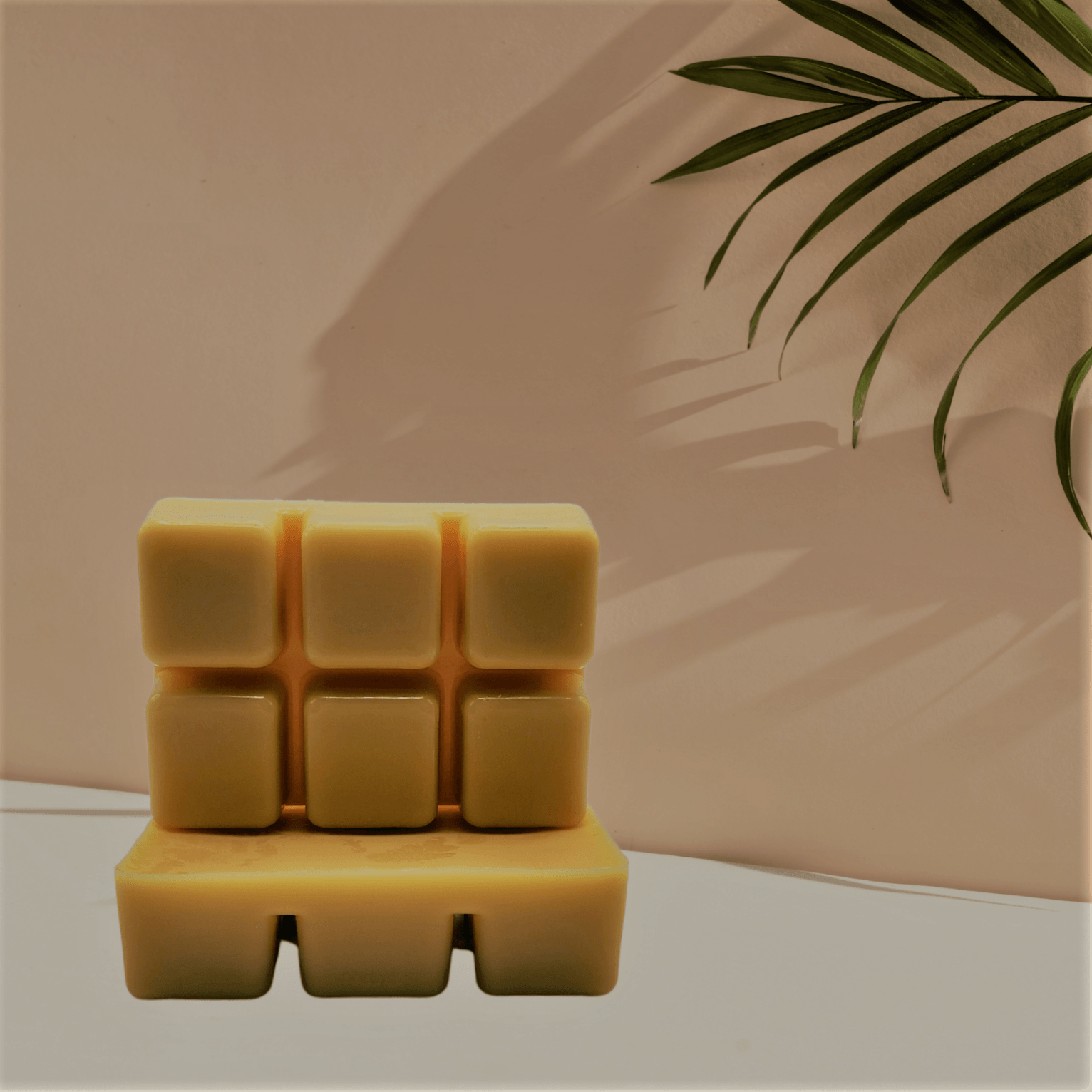 Vanilla Musk - WaxettyVanilla MuskWax Melt