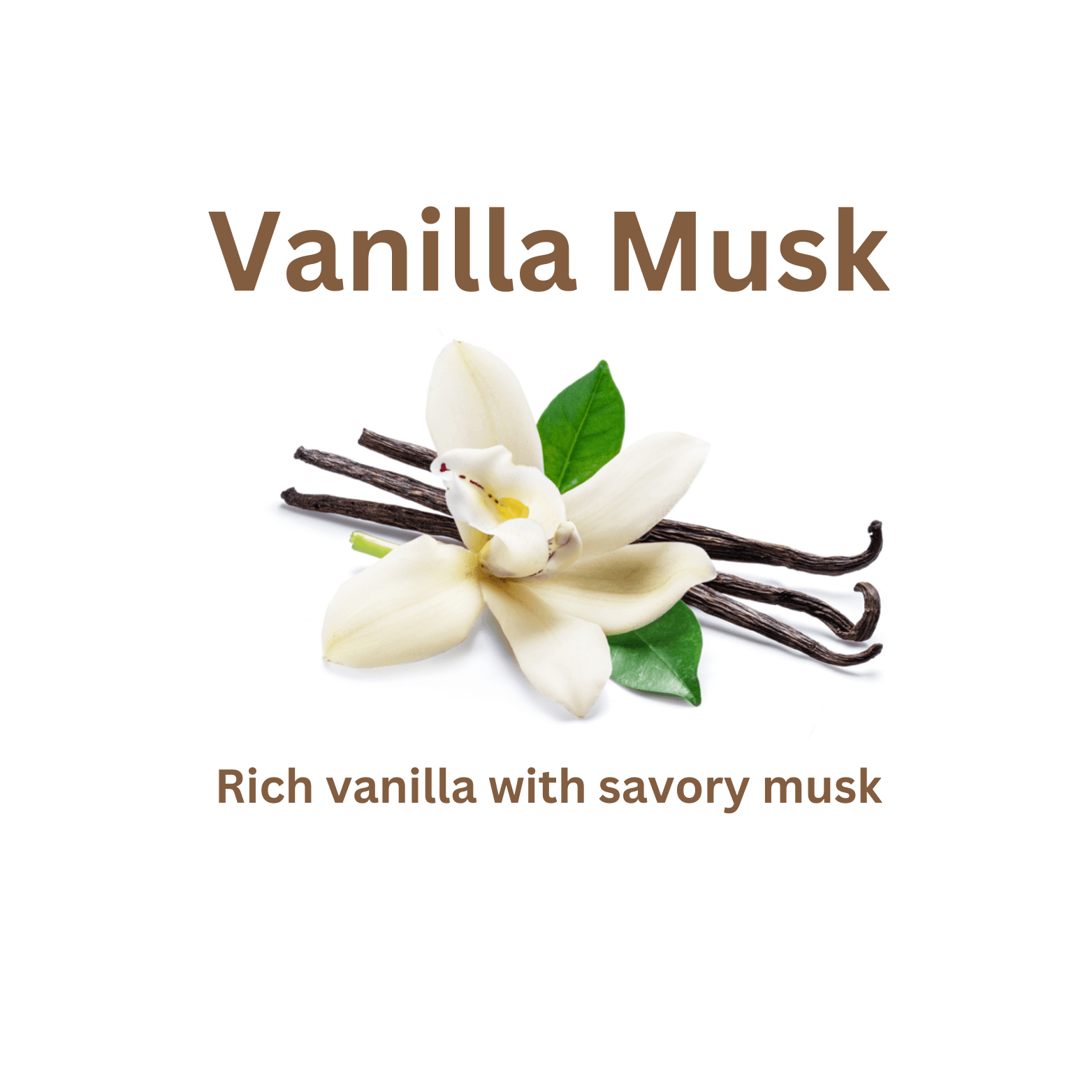 Vanilla Musk - WaxettyVanilla MuskWax Melt