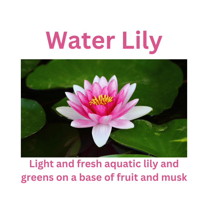 Water Lily - WaxettyWater LilyWax Melt